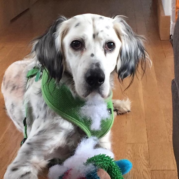 Meet your Posher, John - Picture 2 of 2